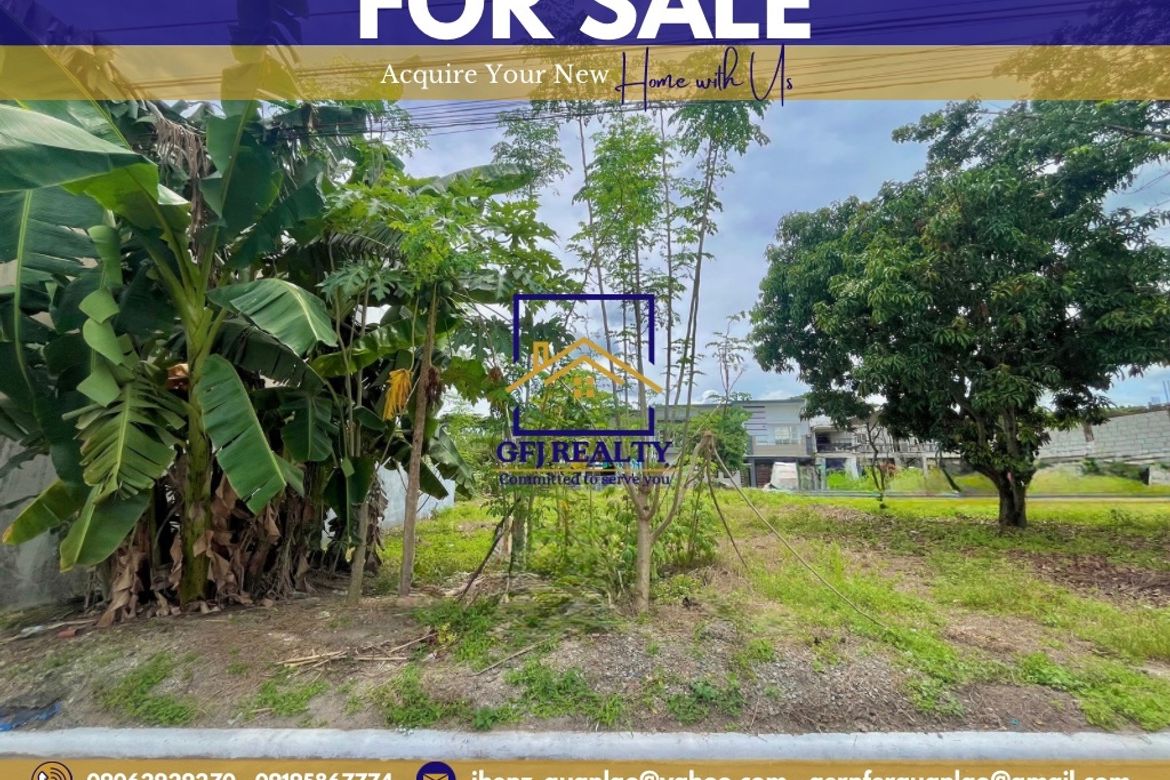 Land for Sale in Pampang, Angeles, Pampanga – photo 3