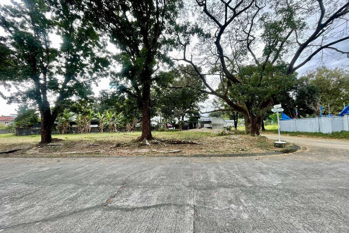 Land for Sale in Pampang, Angeles, Pampanga – photo 2