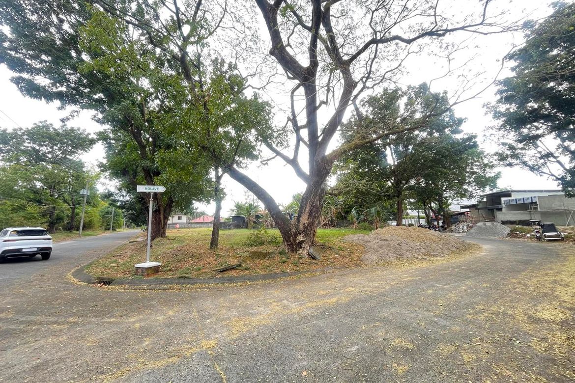 Land for Sale in Pampang, Angeles, Pampanga – photo 3
