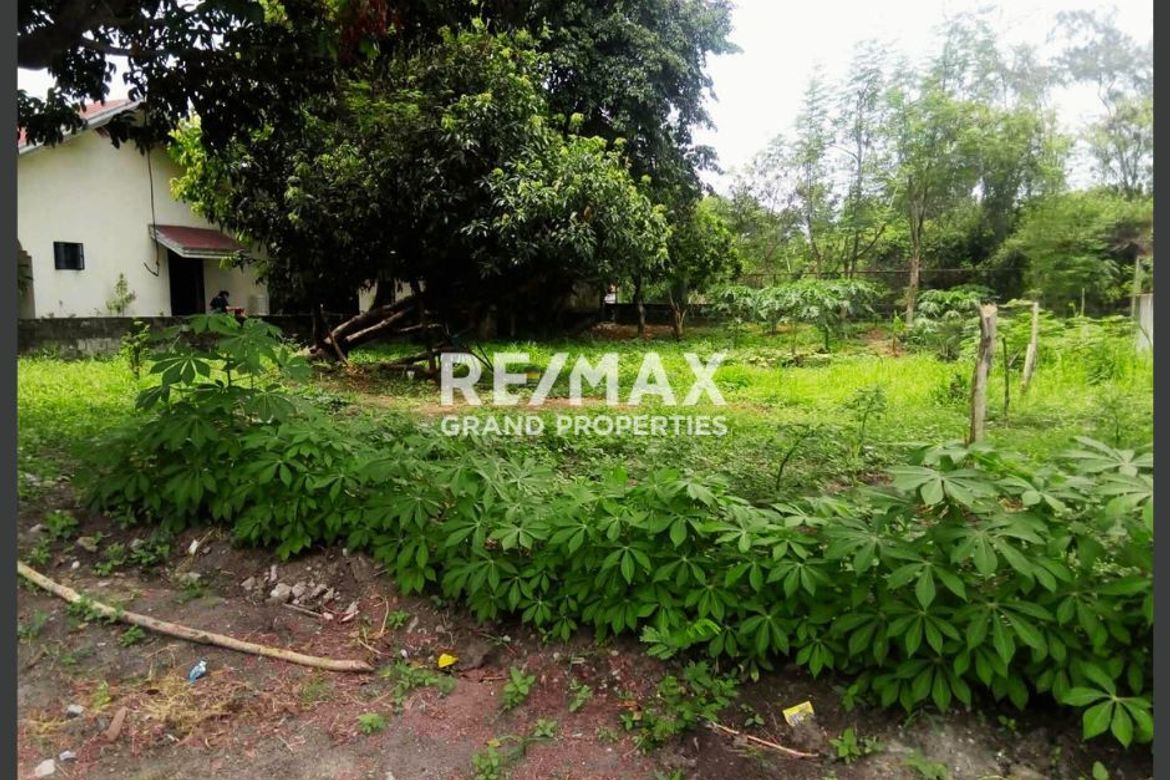 Land for Sale in Pampang, Angeles, Pampanga – photo 2