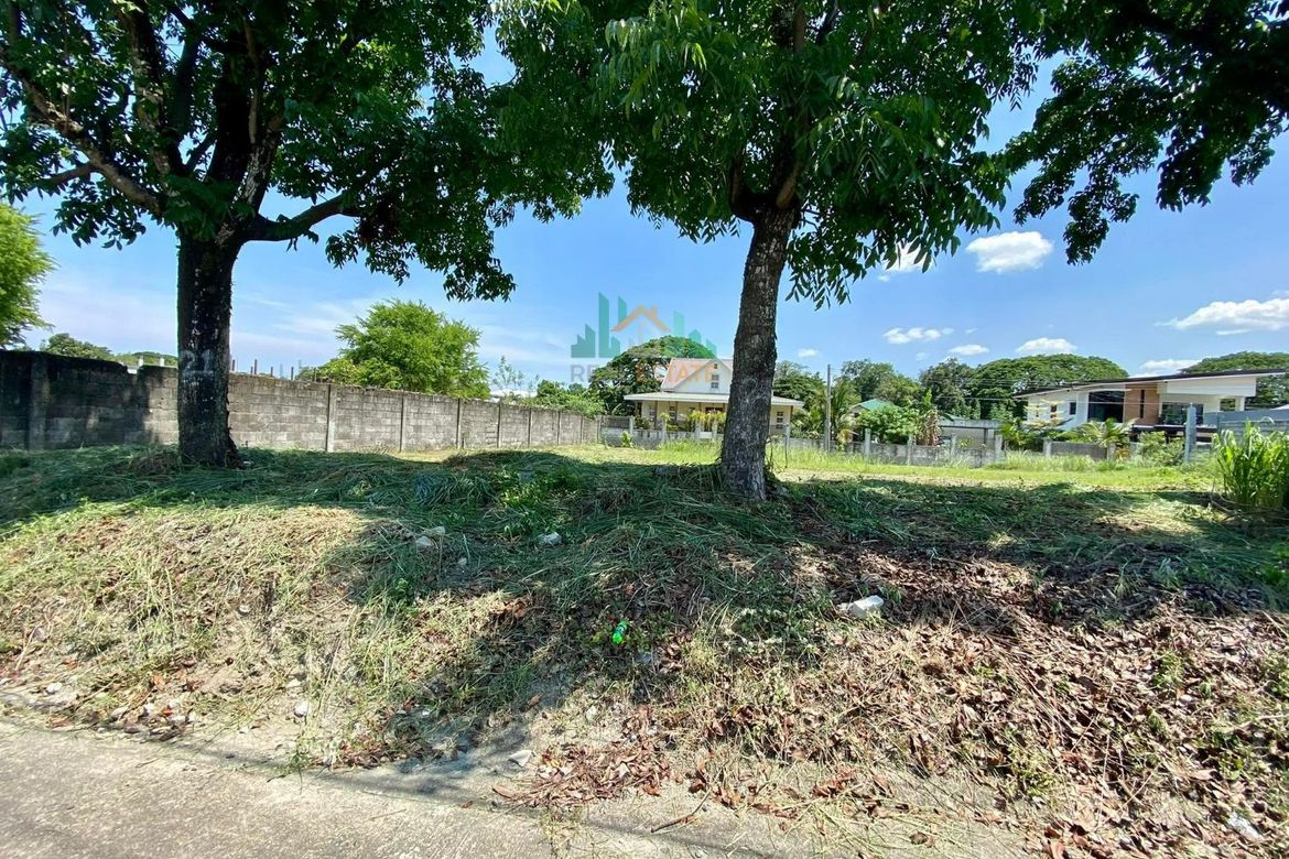 Land for Sale in Pampang, Angeles, Pampanga – photo 5