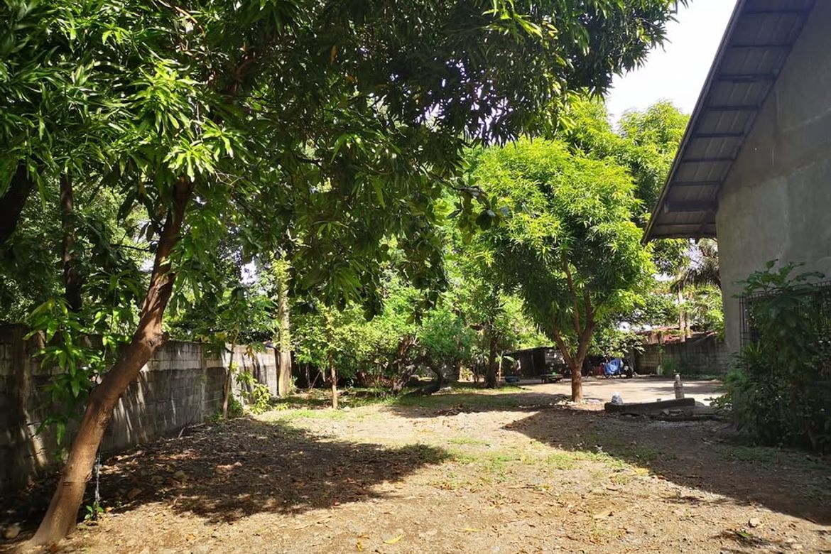 Land for Sale in Pamplona Dos, Las Piñas, Metro Manila – photo 3
