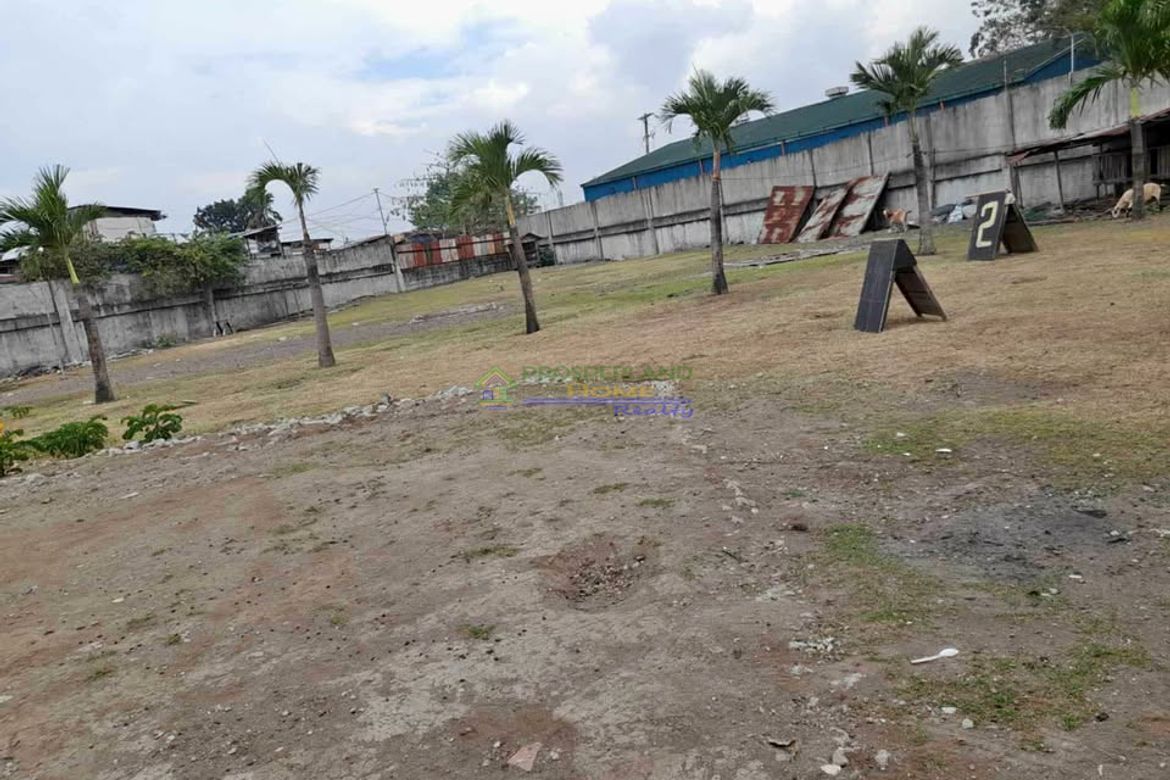 Land for Sale in Pamplona Dos, Las Piñas, Metro Manila – photo 2