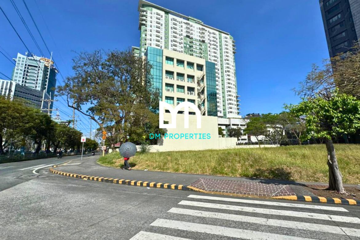 Land for Sale in Pamplona Tres, Las Piñas, Metro Manila – photo 2