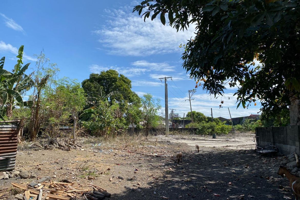 Land for Sale in Pamplona Tres, Las Piñas, Metro Manila – photo 2