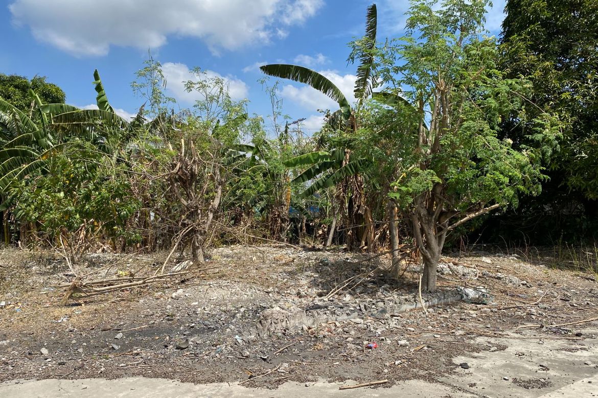 Land for Sale in Pamplona Tres, Las Piñas, Metro Manila – photo 3