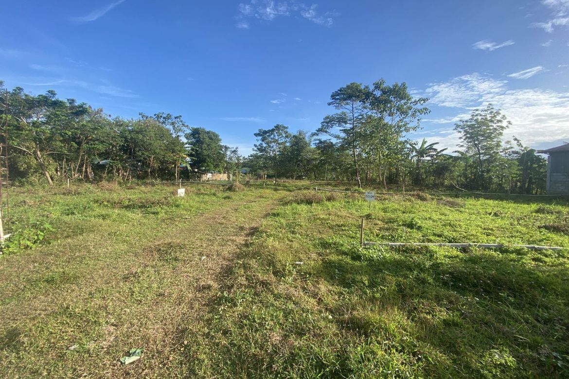 Land for Sale in Pamuringao Proper, Cabatuan, Iloilo