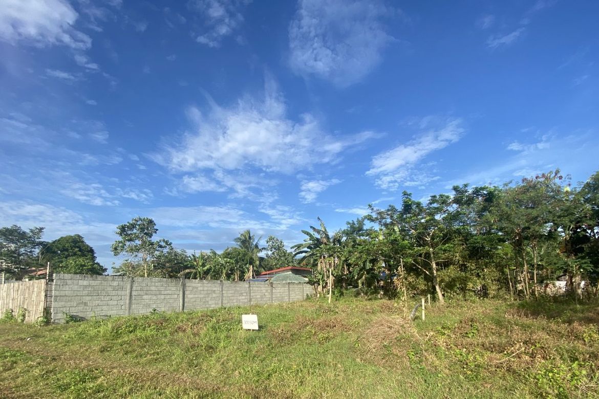 Land for Sale in Pamuringao Proper, Cabatuan, Iloilo – photo 2