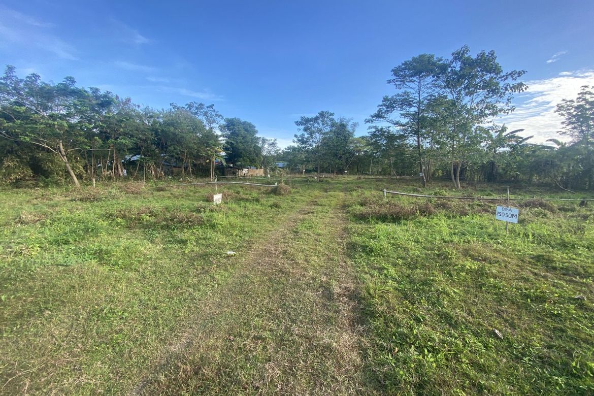 Land for Sale in Pamuringao Proper, Cabatuan, Iloilo – photo 5