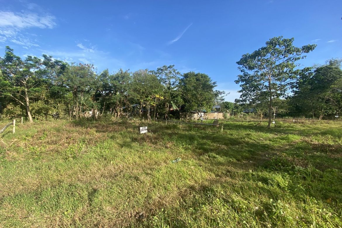 Land for Sale in Pamuringao Proper, Cabatuan, Iloilo