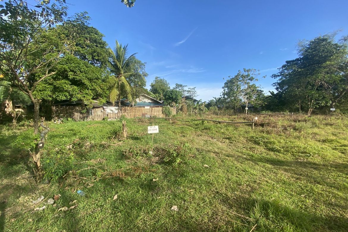 Land for Sale in Pamuringao Proper, Cabatuan, Iloilo – photo 2