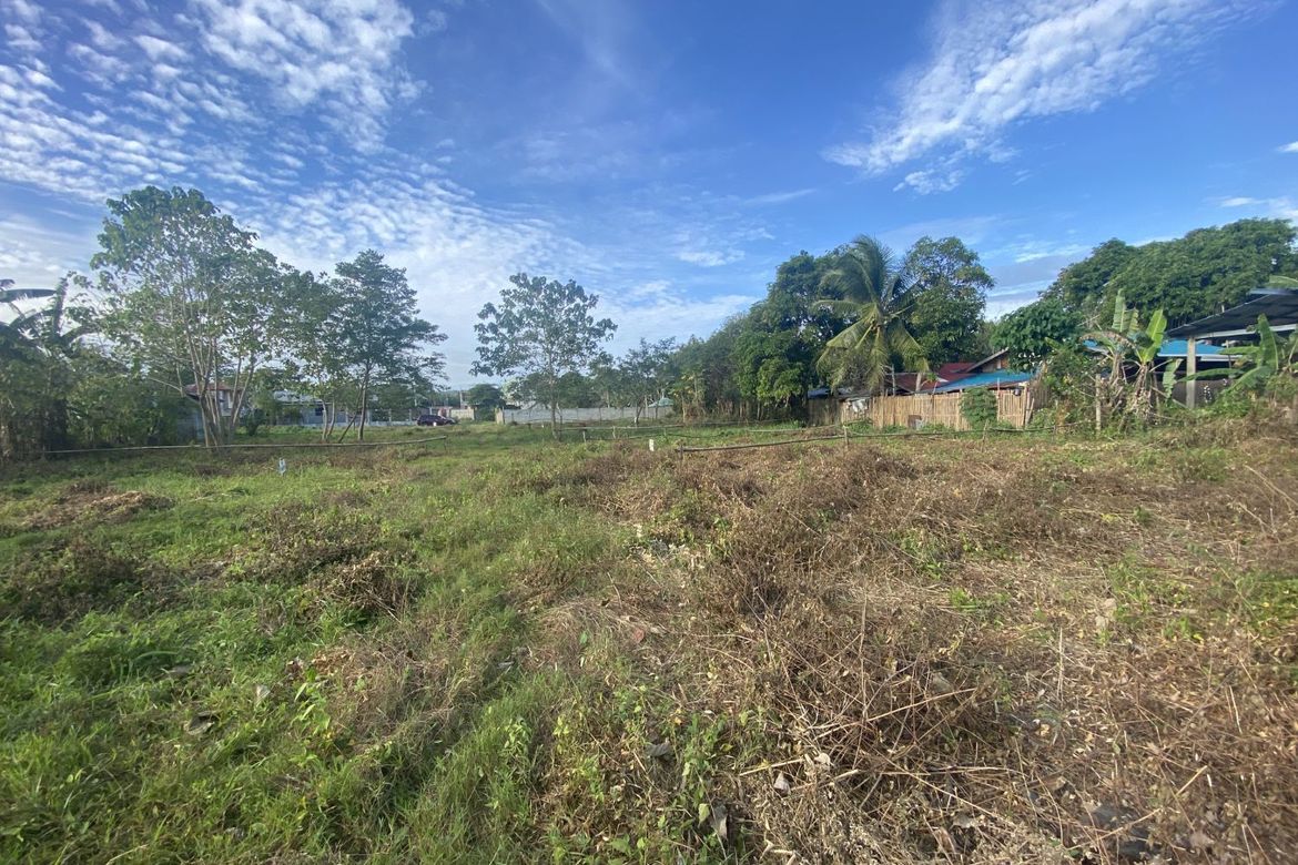 Land for Sale in Pamuringao Proper, Cabatuan, Iloilo – photo 5