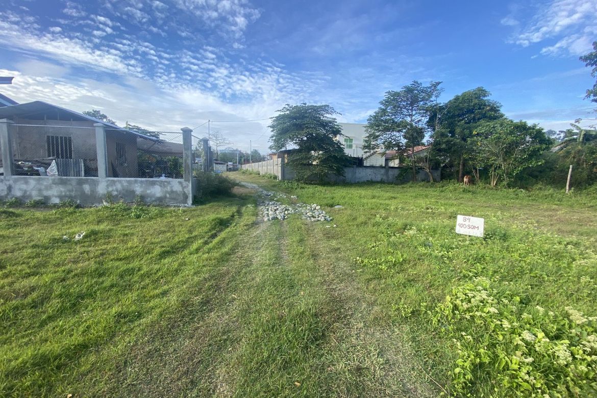 Land for Sale in Pamuringao Proper, Cabatuan, Iloilo – photo 6