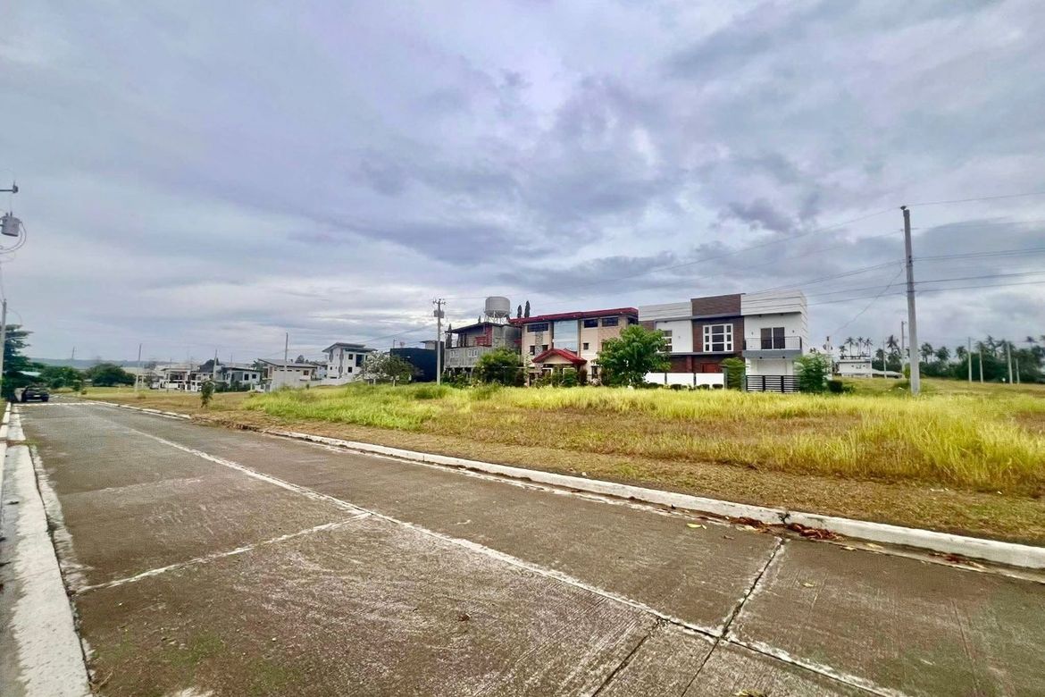 Land for Sale in Panacan, Davao City, Davao del Sur – photo 6