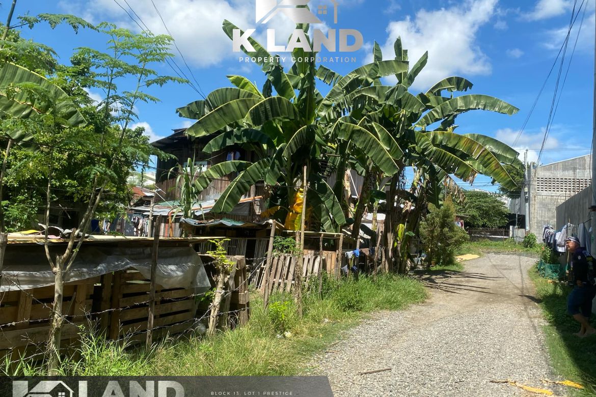Land for Sale in Panacan, Davao City, Davao del Sur – photo 2