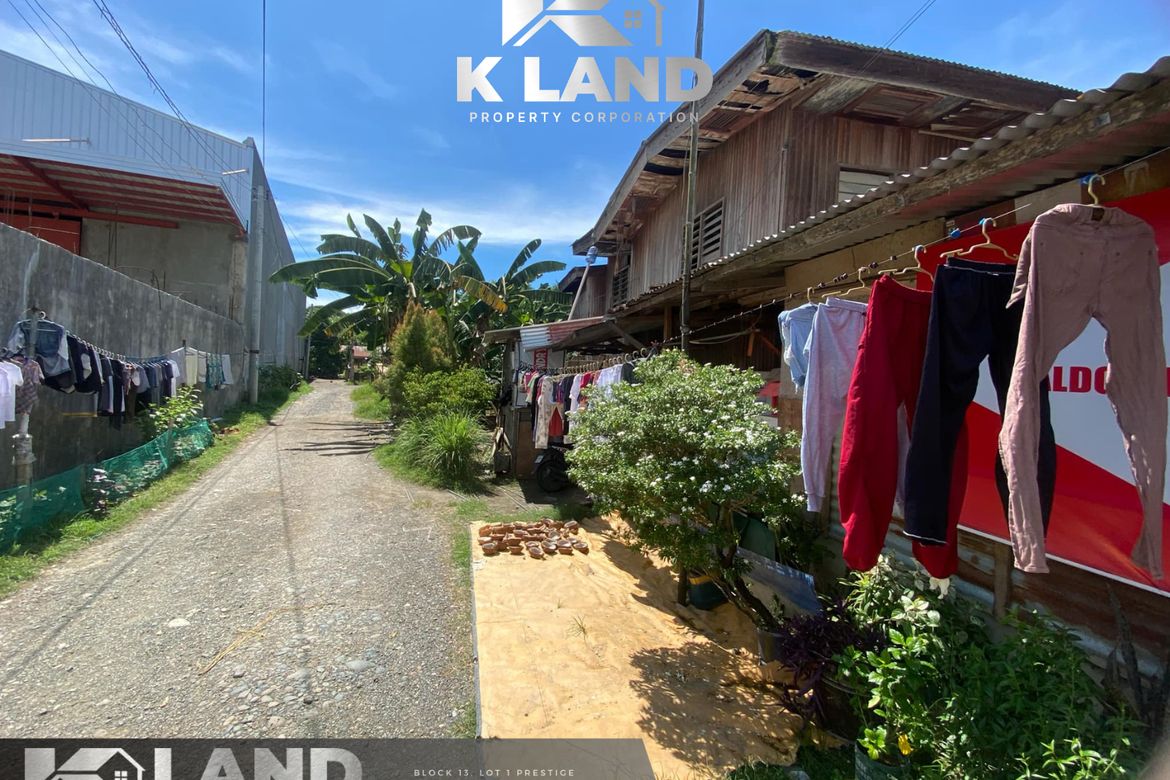 Land for Sale in Panacan, Davao City, Davao del Sur – photo 4