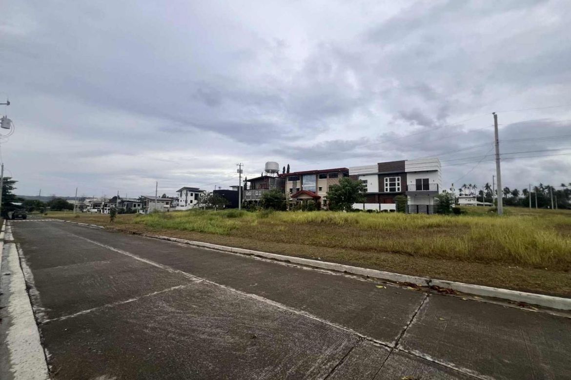 Land for Sale in Panacan, Davao City, Davao del Sur – photo 3