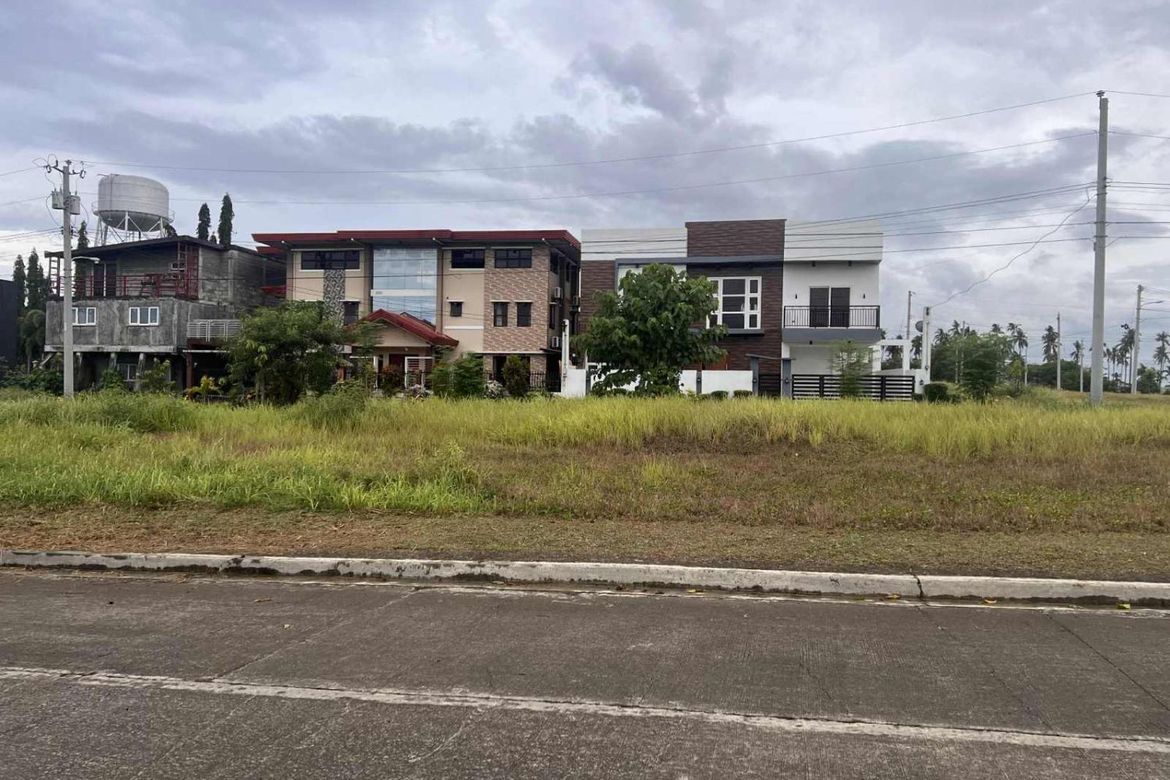Land for Sale in Panacan, Davao City, Davao del Sur – photo 8