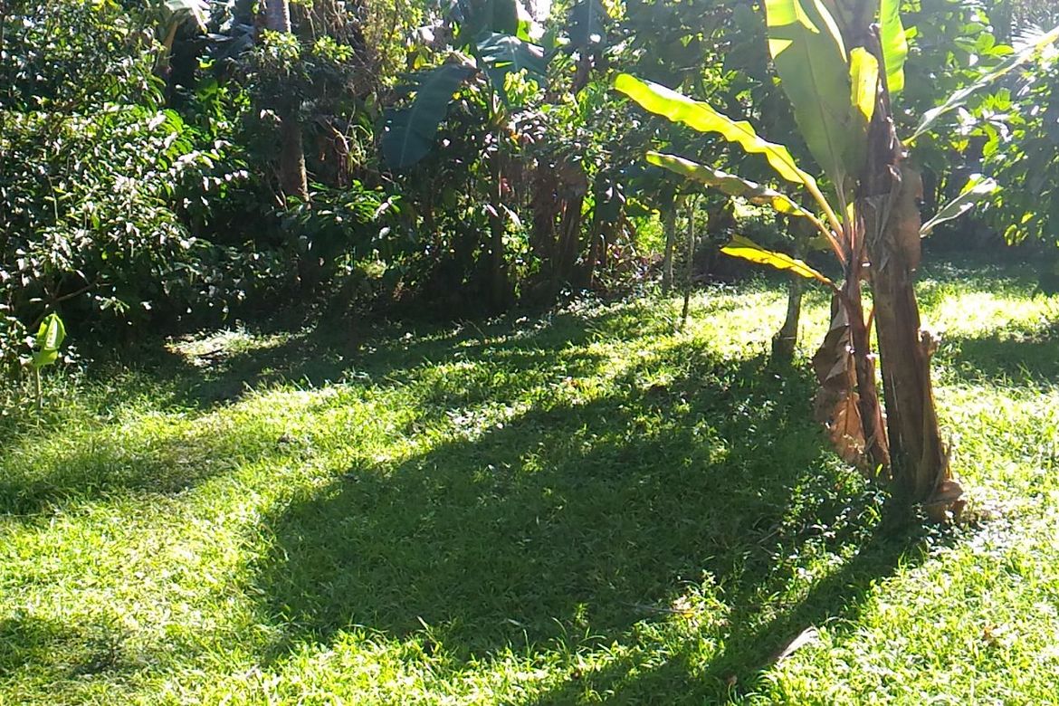 Land for Sale in Panaytayan, Ragay, Camarines Sur – photo 4