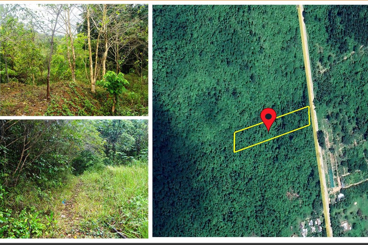 Land for Sale in Pancol, Taytay, Palawan