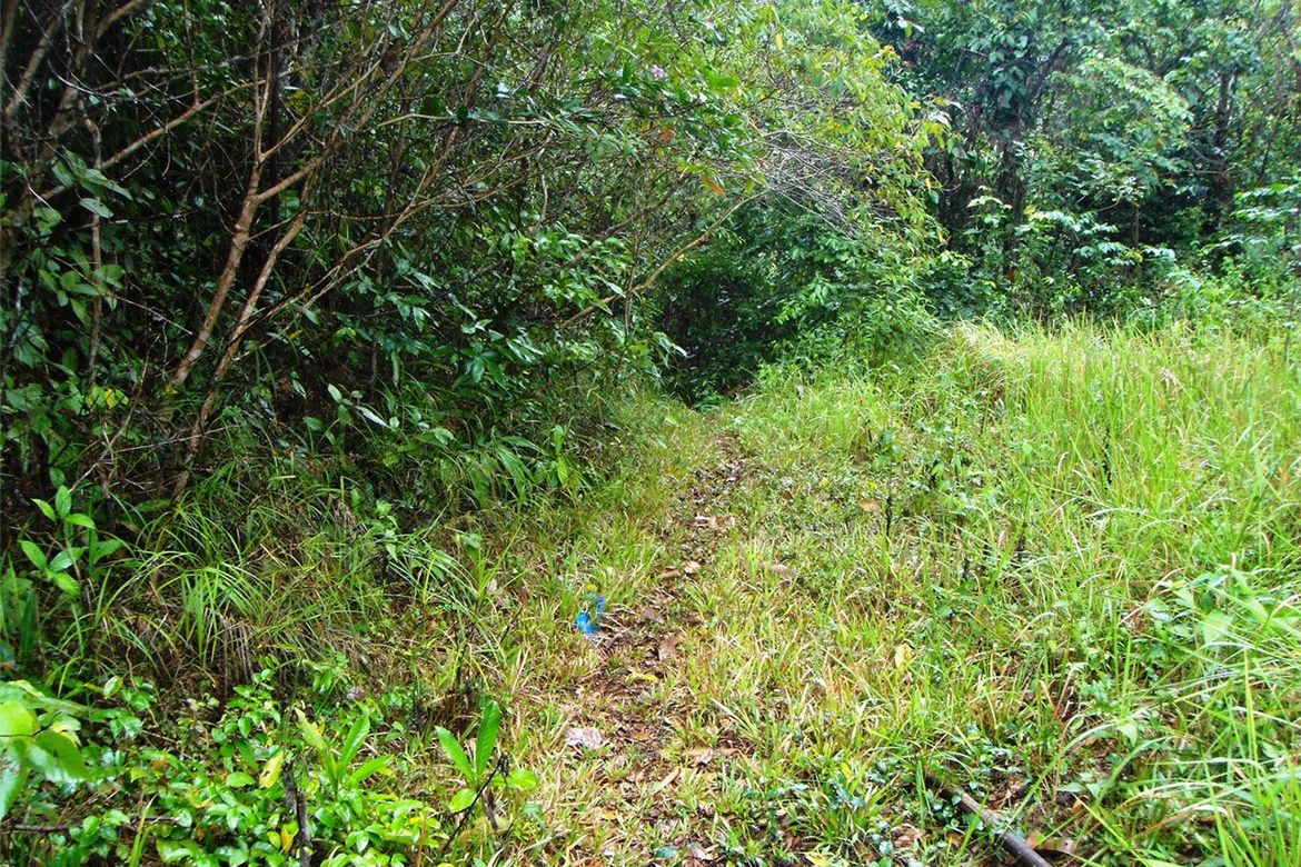 Land for Sale in Pancol, Taytay, Palawan – photo 3