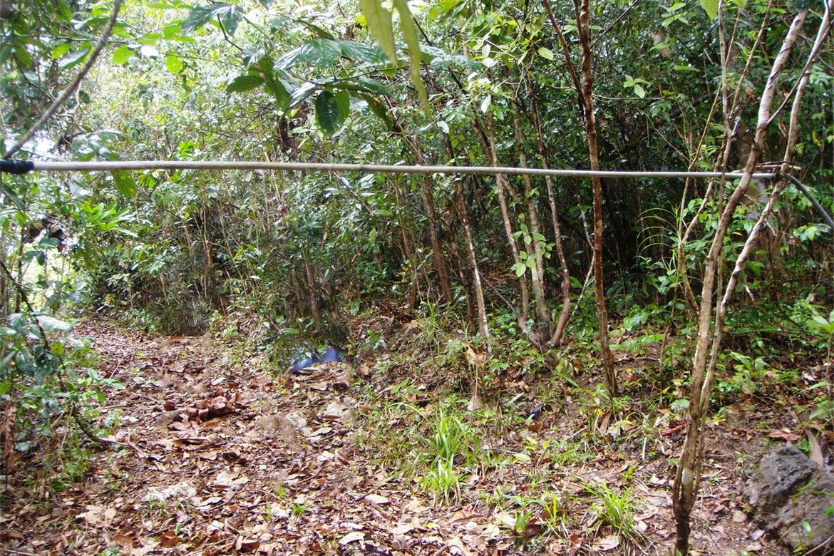 Land for Sale in Pancol, Taytay, Palawan – photo 4