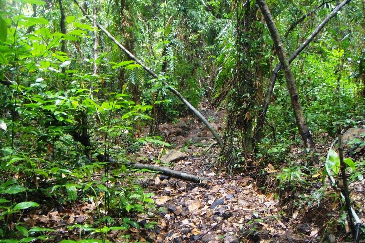 Land for Sale in Pancol, Taytay, Palawan – photo 5