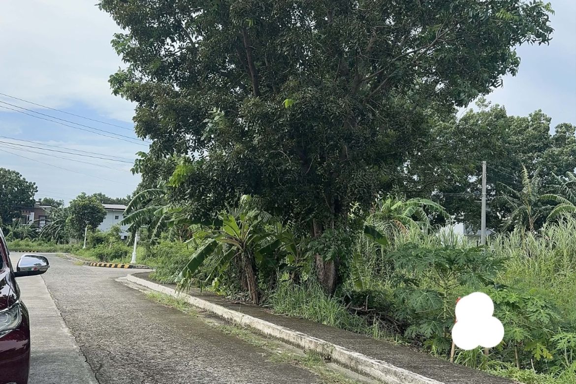 Land for Sale in Pandac, Pavia, Iloilo – photo 12