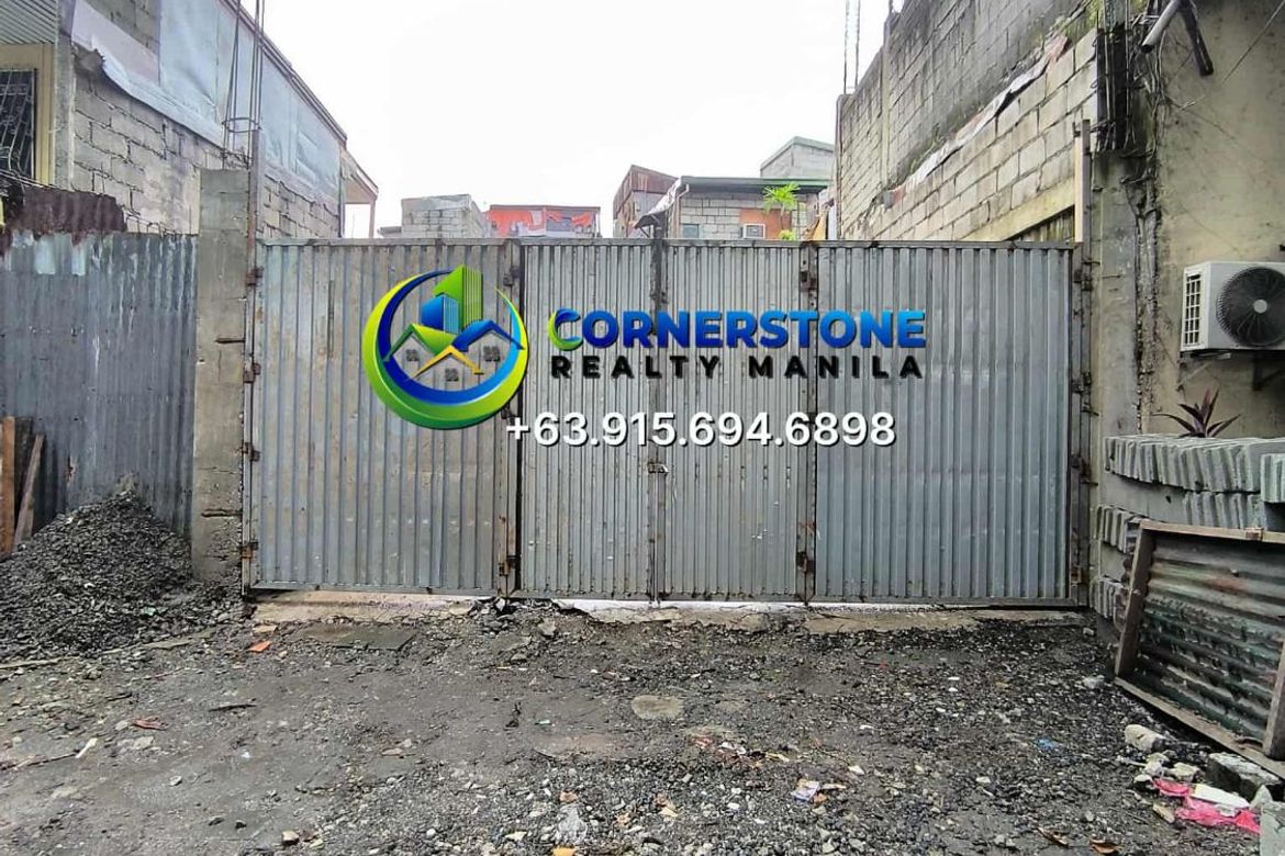 Land for Sale in Pandacan, Manila, Metro Manila