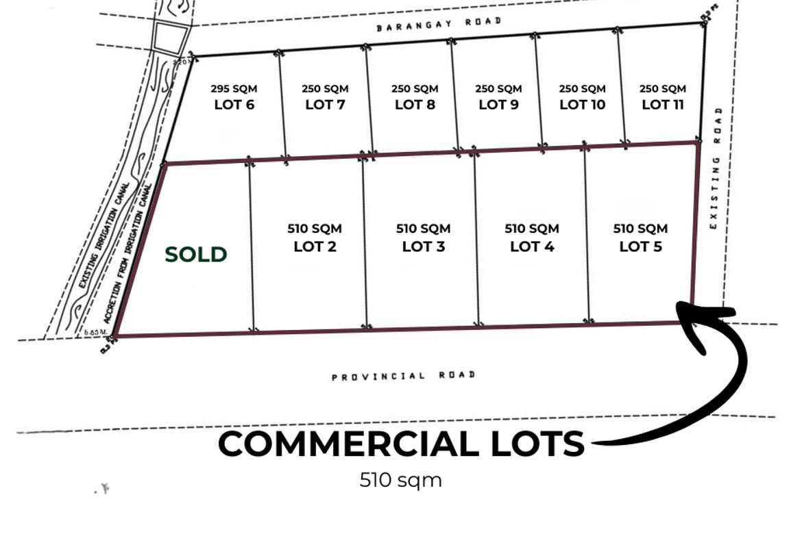 Land for Sale in Panganiban, Tayug, Pangasinan – photo 5