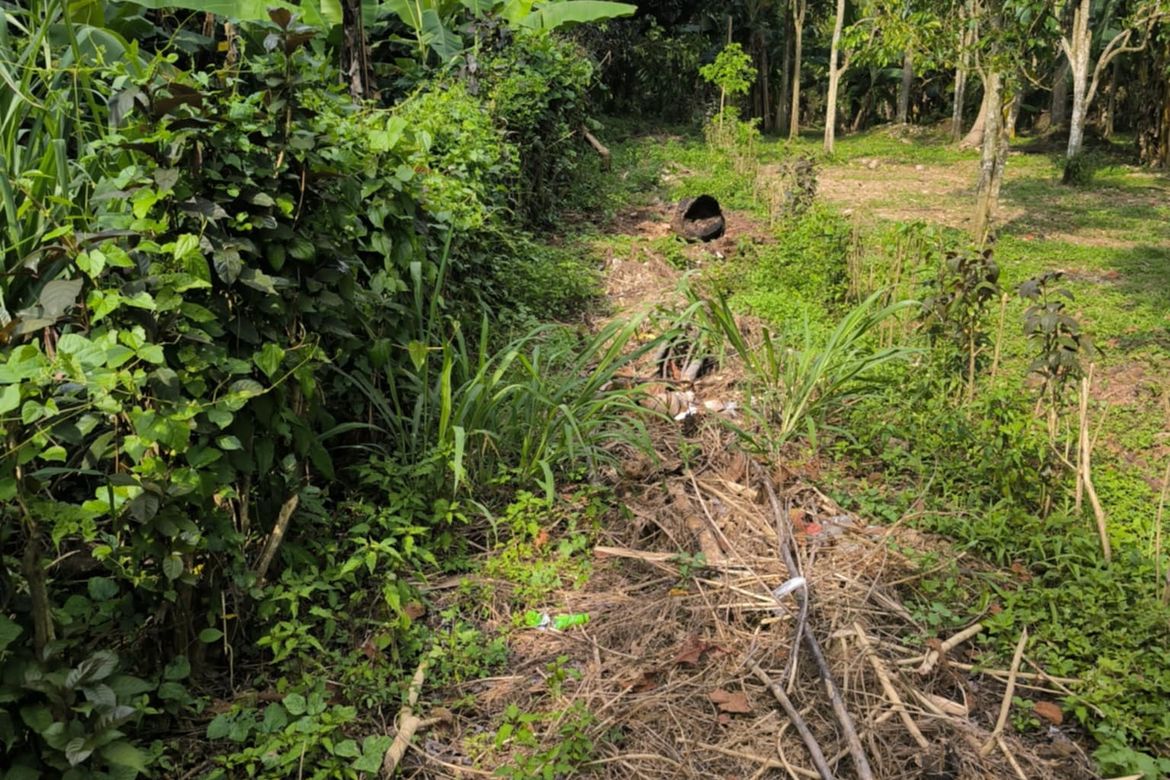 Land for Sale in Pangao, Lipa, Batangas – photo 4