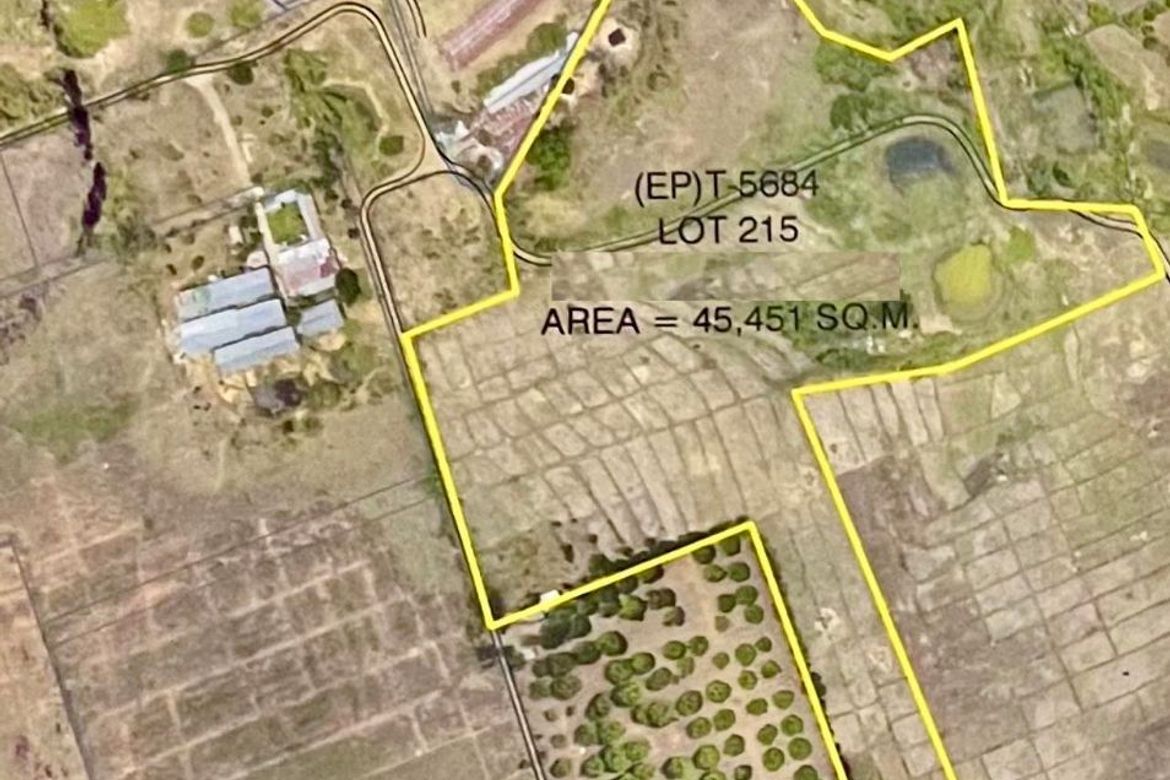 Land for Sale in Pangatian, Cabanatuan, Nueva Ecija – photo 2