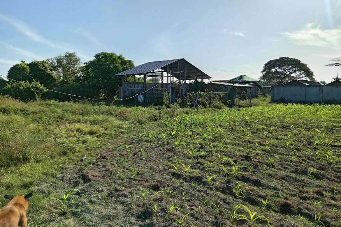 Land for Sale in Pangatlan, Mexico, Pampanga