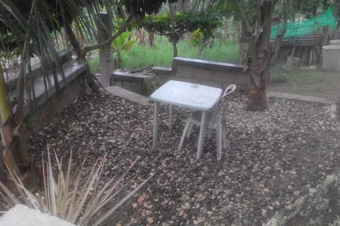 Land for Sale in Pangdan, Naga, Cebu – photo 3