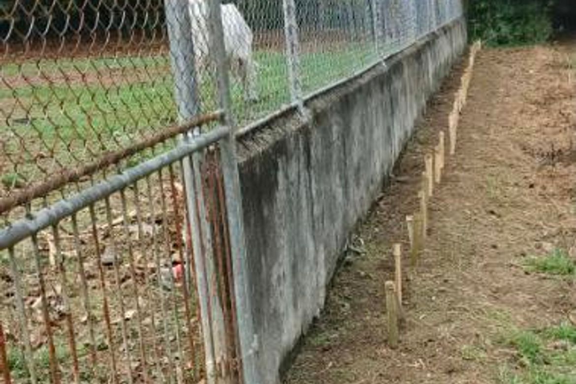 Land for Sale in Panghayaan, Ibaan, Batangas – photo 2