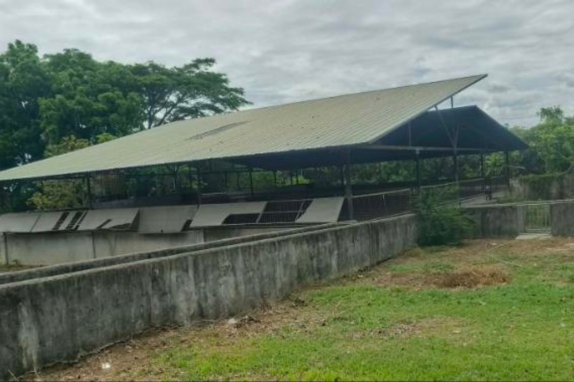 Land for Sale in Panghayaan, Ibaan, Batangas – photo 4