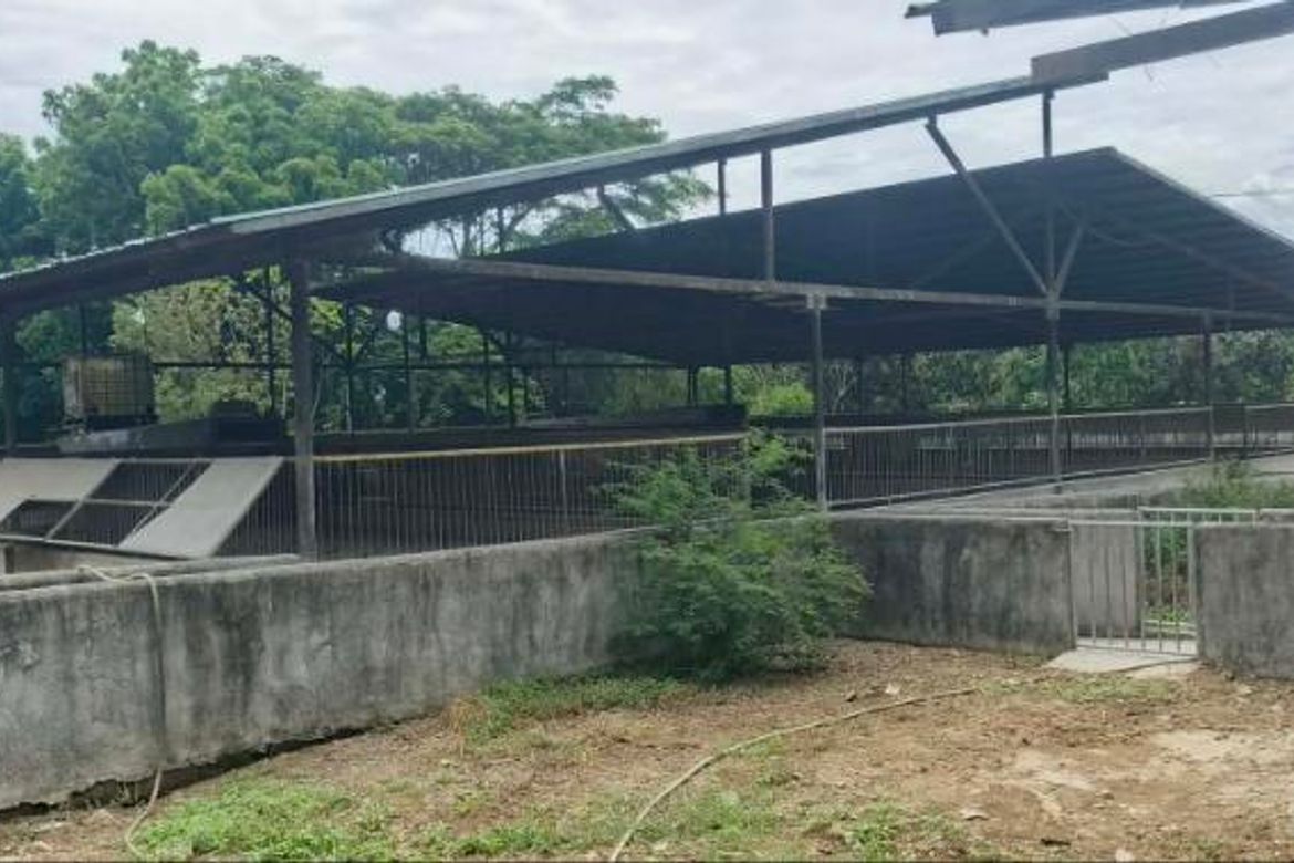 Land for Sale in Panghayaan, Ibaan, Batangas – photo 5