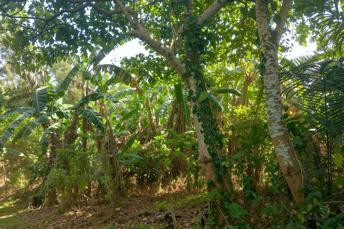Land for Sale in Pangil, Amadeo, Cavite – photo 4