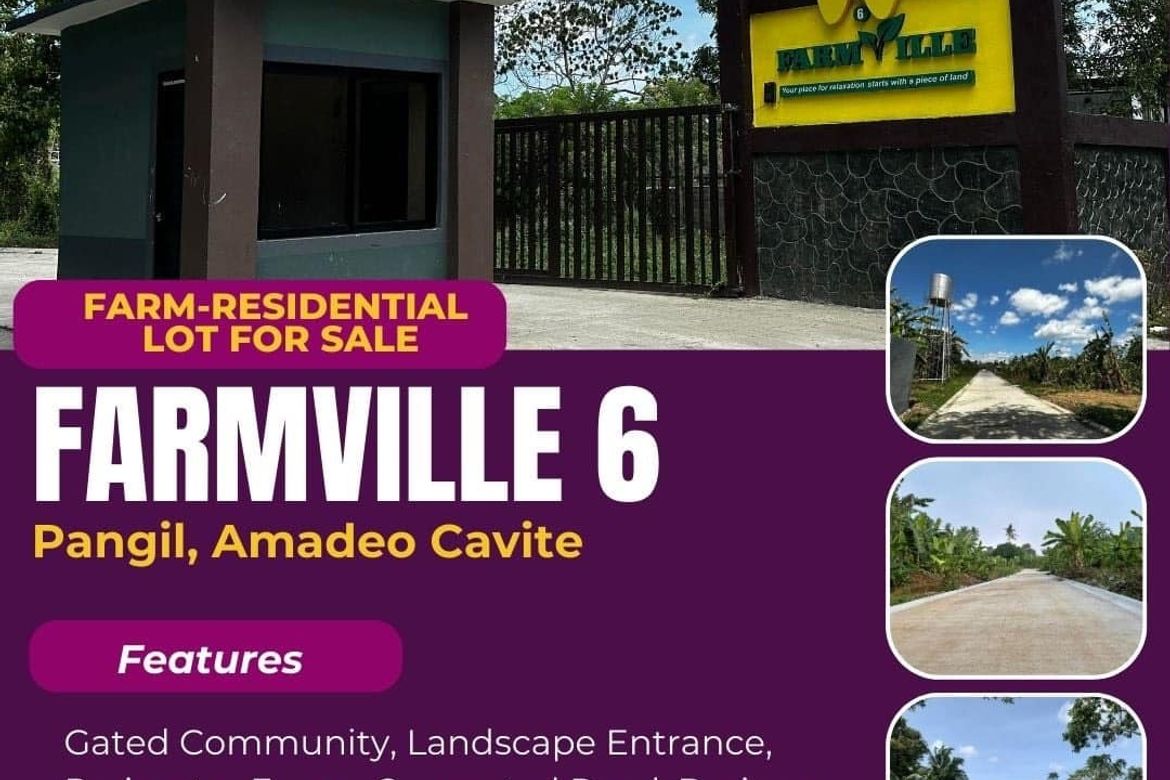 Land for Sale in Pangil, Amadeo, Cavite