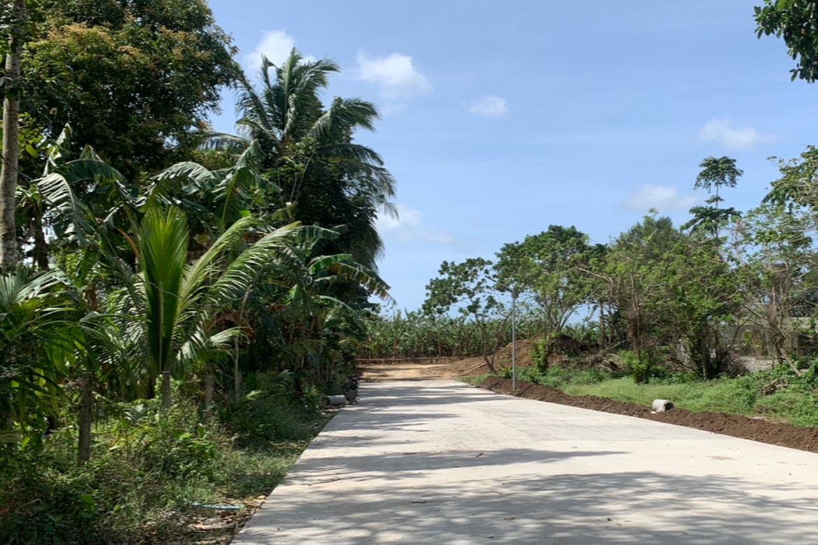 Land for Sale in Pangil, Amadeo, Cavite – photo 2