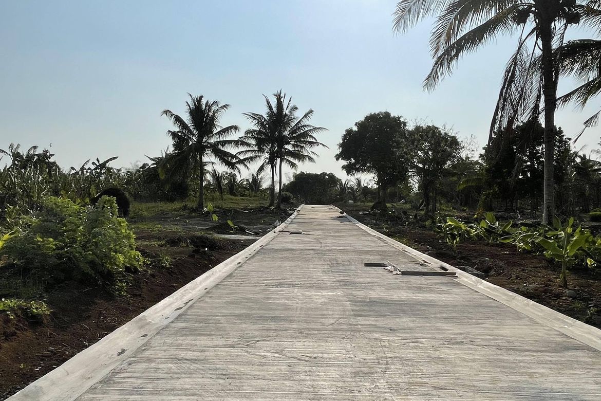 Land for Sale in Pangil, Amadeo, Cavite – photo 3
