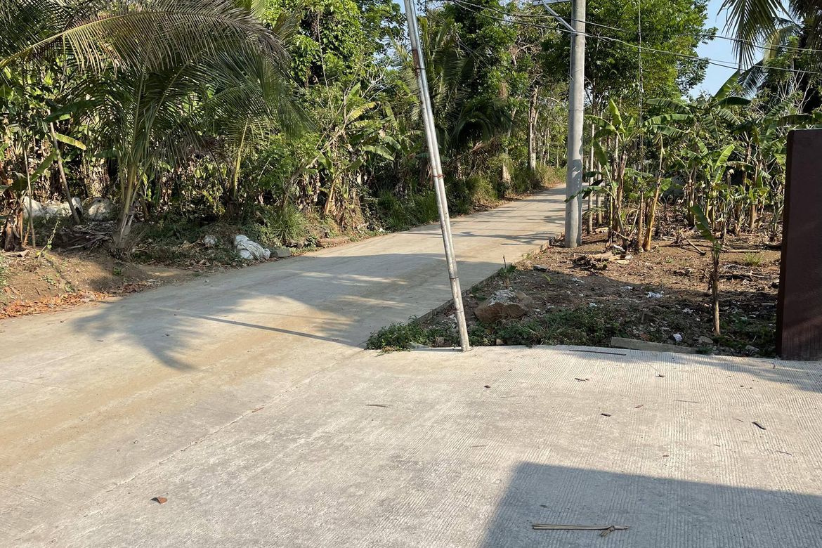 Land for Sale in Pangil, Amadeo, Cavite – photo 8