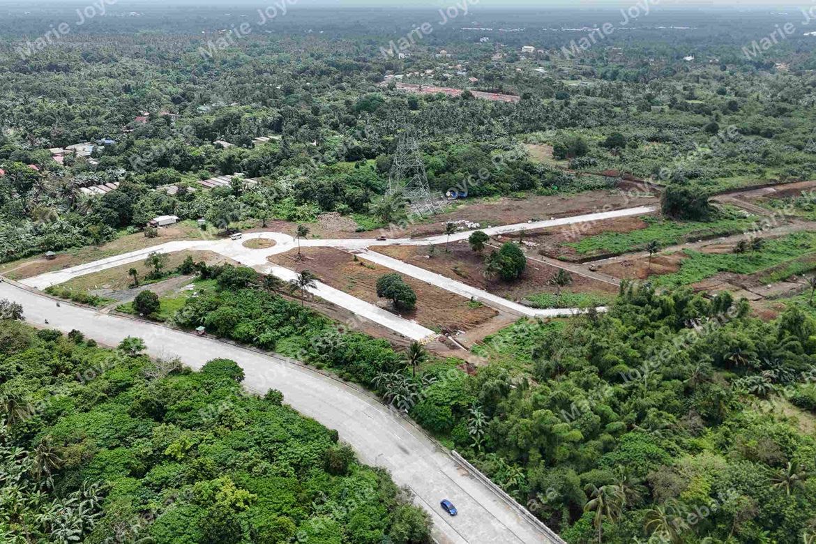 Land for Sale in Pangil, Amadeo, Cavite – photo 2