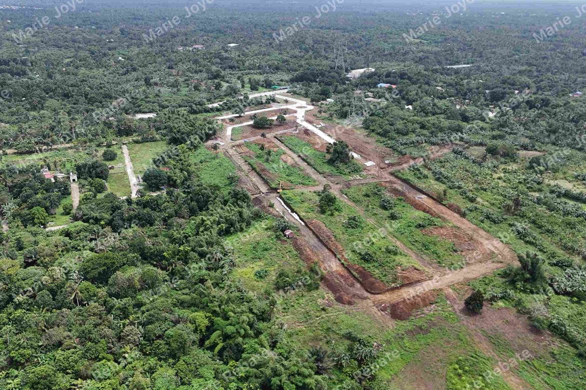 Land for Sale in Pangil, Amadeo, Cavite – photo 4