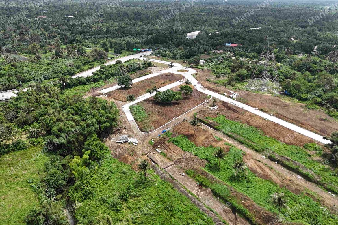 Land for Sale in Pangil, Amadeo, Cavite – photo 5