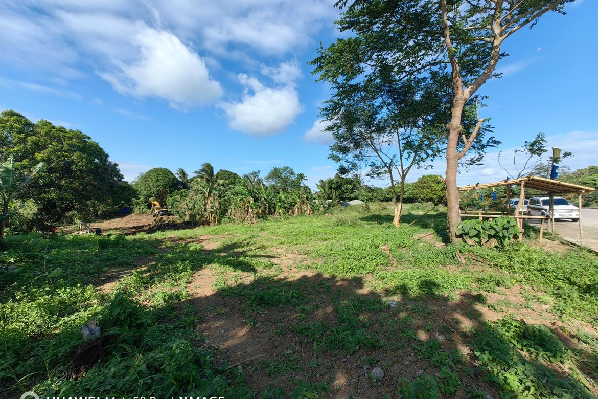 Land for Sale in Pangil, Amadeo, Cavite – photo 4