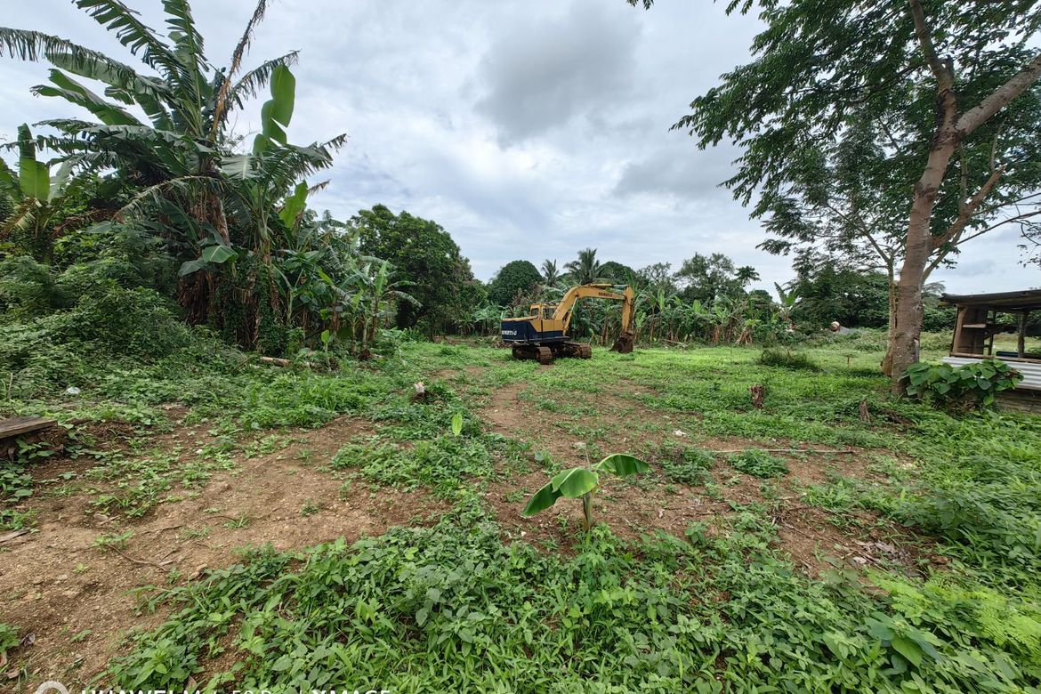 Land for Sale in Pangil, Amadeo, Cavite – photo 5