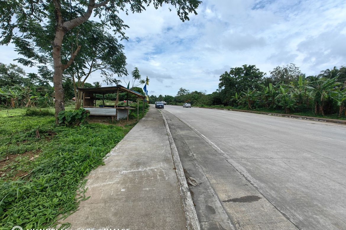 Land for Sale in Pangil, Amadeo, Cavite – photo 6