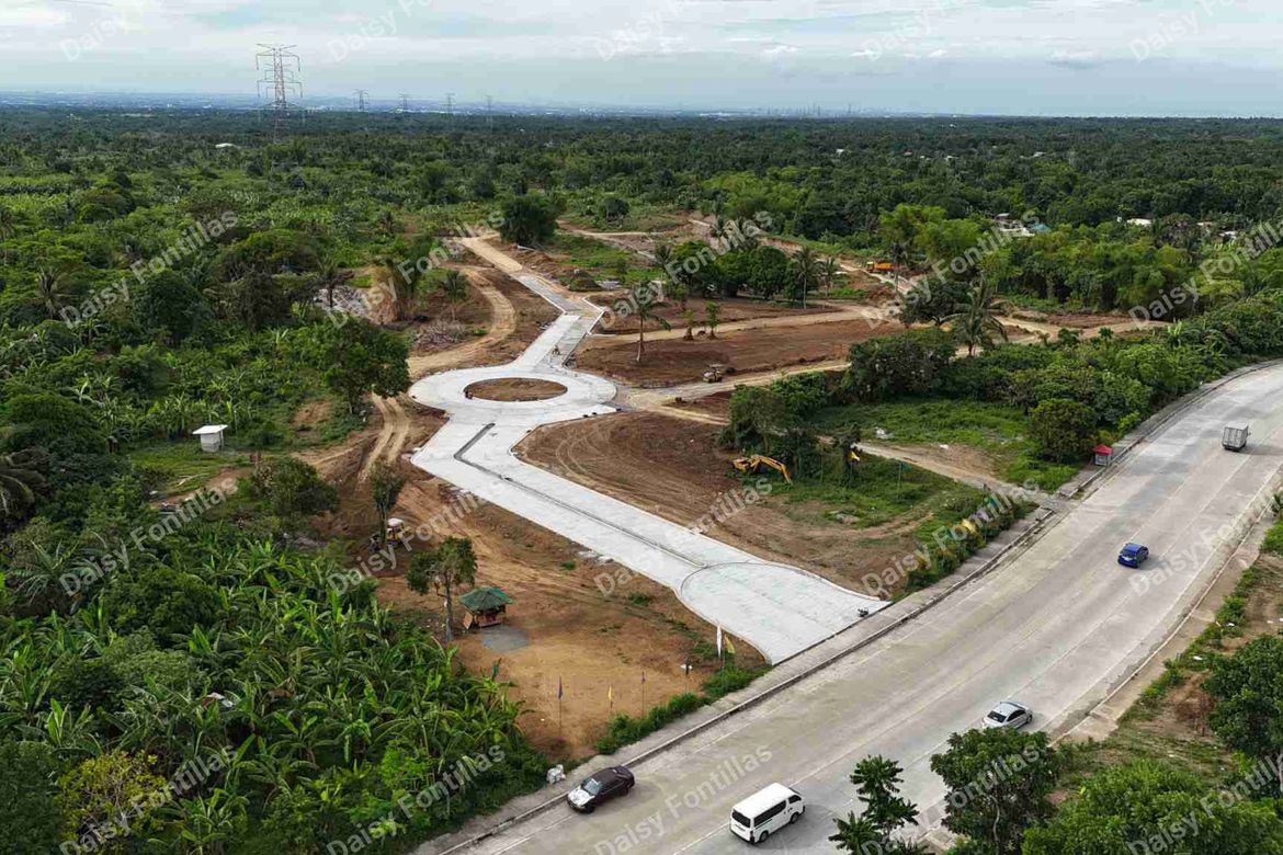 Land for Sale in Pangil, Amadeo, Cavite – photo 4