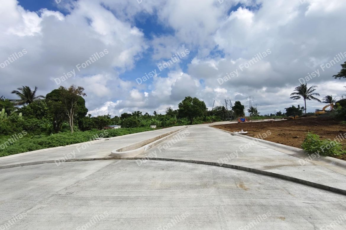 Land for Sale in Pangil, Amadeo, Cavite – photo 7